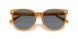 585580 - Orange - Grey Solid