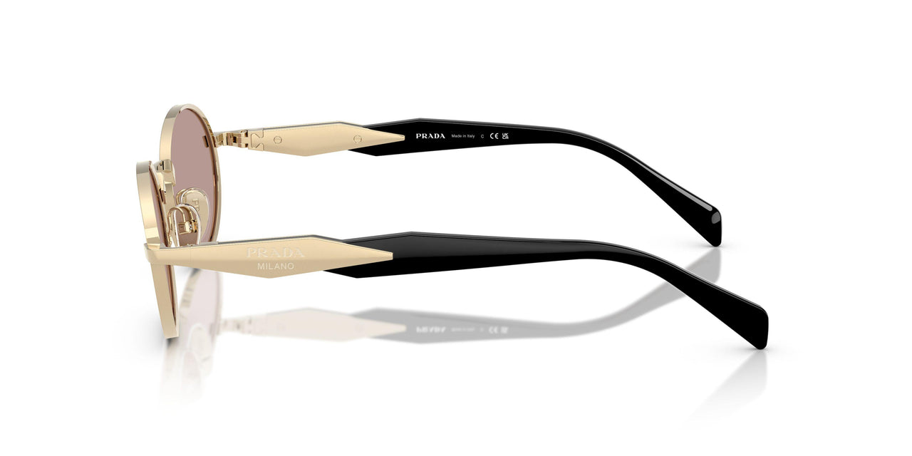 ZVN20I - Gold - Light Purple Brown