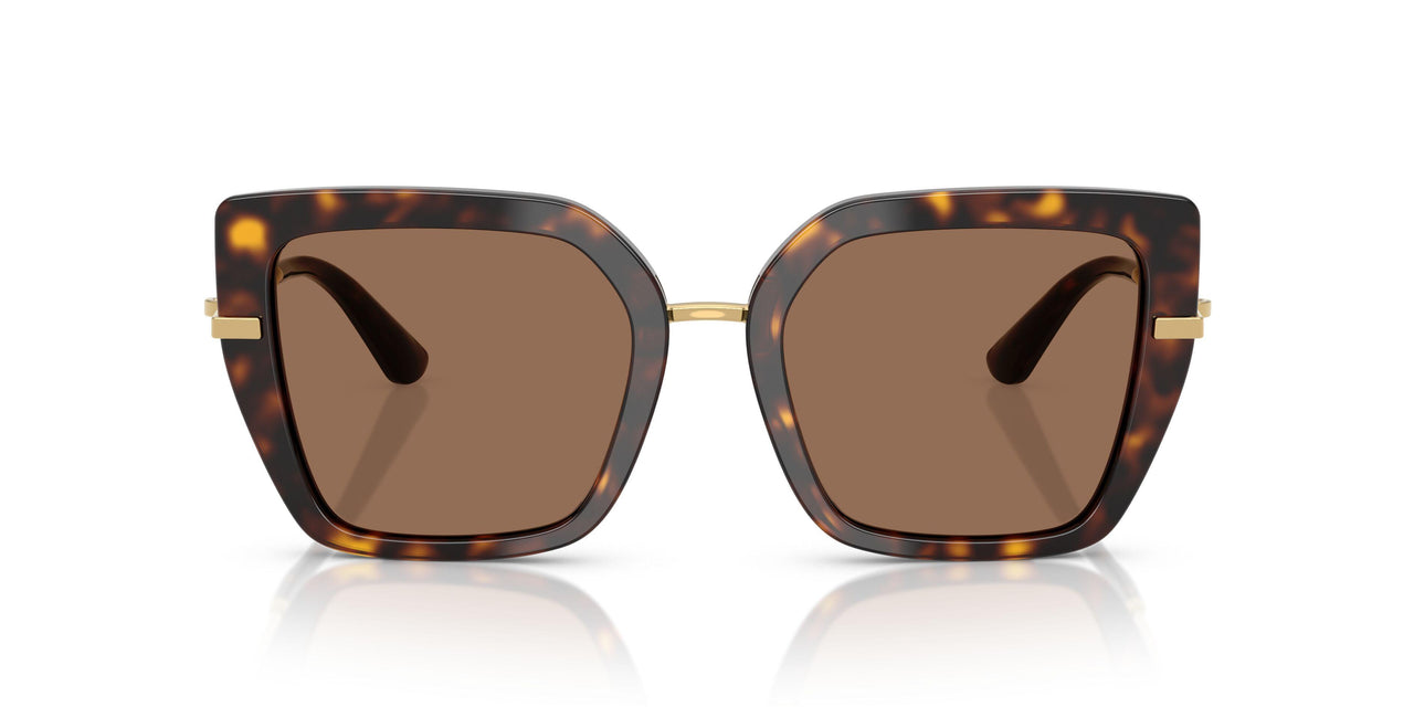 502/73 - Tortoise - Dark Brown