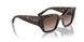 W65613 - Brown - Gradient Brown