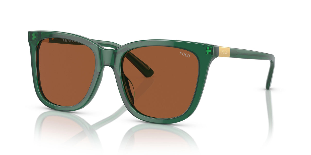 619573 - Green - Brown