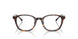 2003 - Tortoise