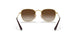 223/13 - Gold - Brown Gradient