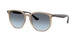 6788V1 - Beige - Blue Gradient Grey