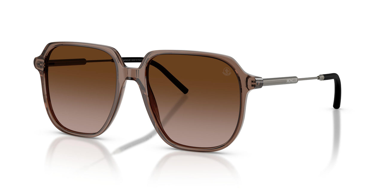 301813 - Brown - Gradient Brown
