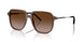 301813 - Brown - Gradient Brown
