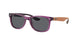 Ray-Ban Junior New Wayfarer 9052S Sunglasses
