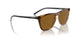 277083 - Brown - Dark Brown Polarized