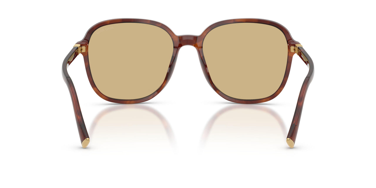 26E10R - Brown - Yellow