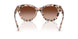 508013 - Tortoise - Gradient Brown