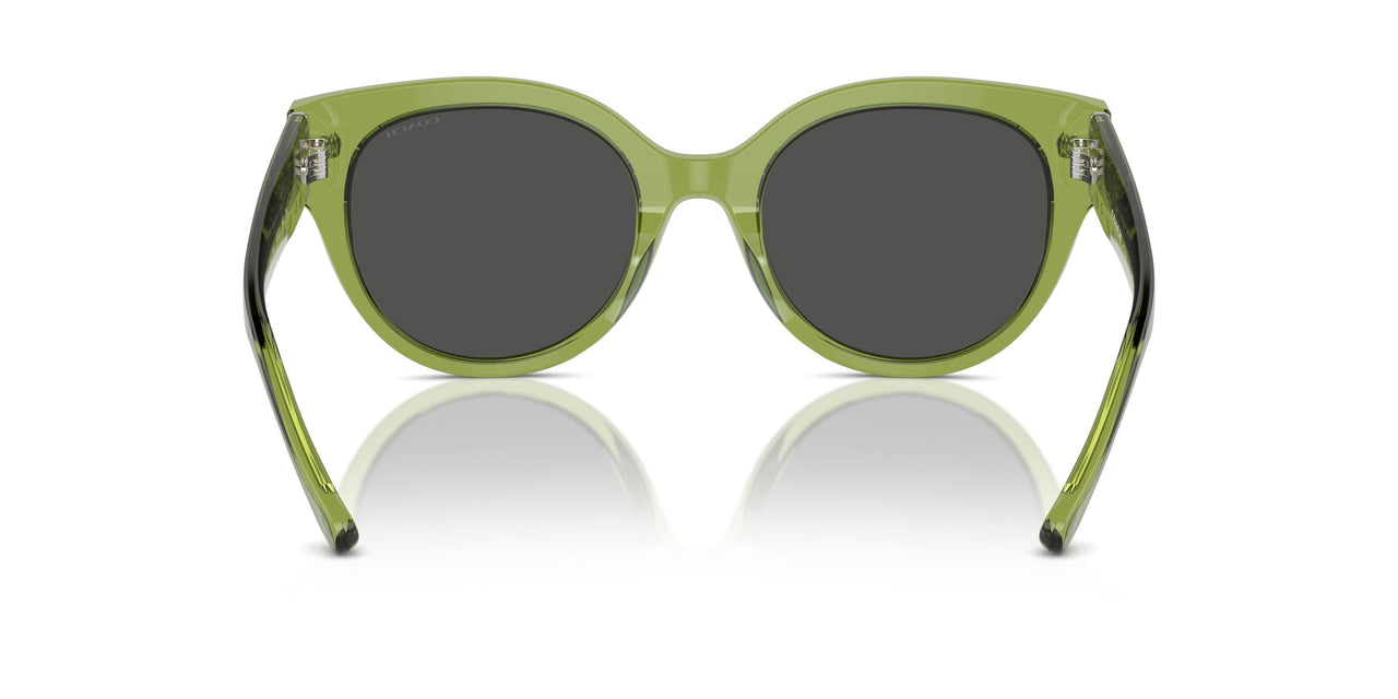 581087 - Green - Grey Solid