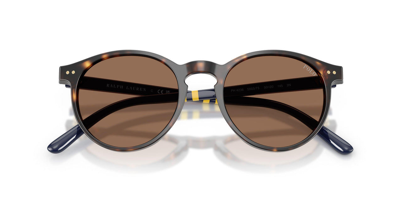 500373 - Tortoise - Brown
