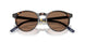 500373 - Tortoise - Brown