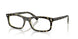 8485 - Brown - Clear