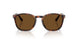 24/57 - Tortoise - Polarized Brown