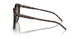 W65613 - Havana - Gradient Brown