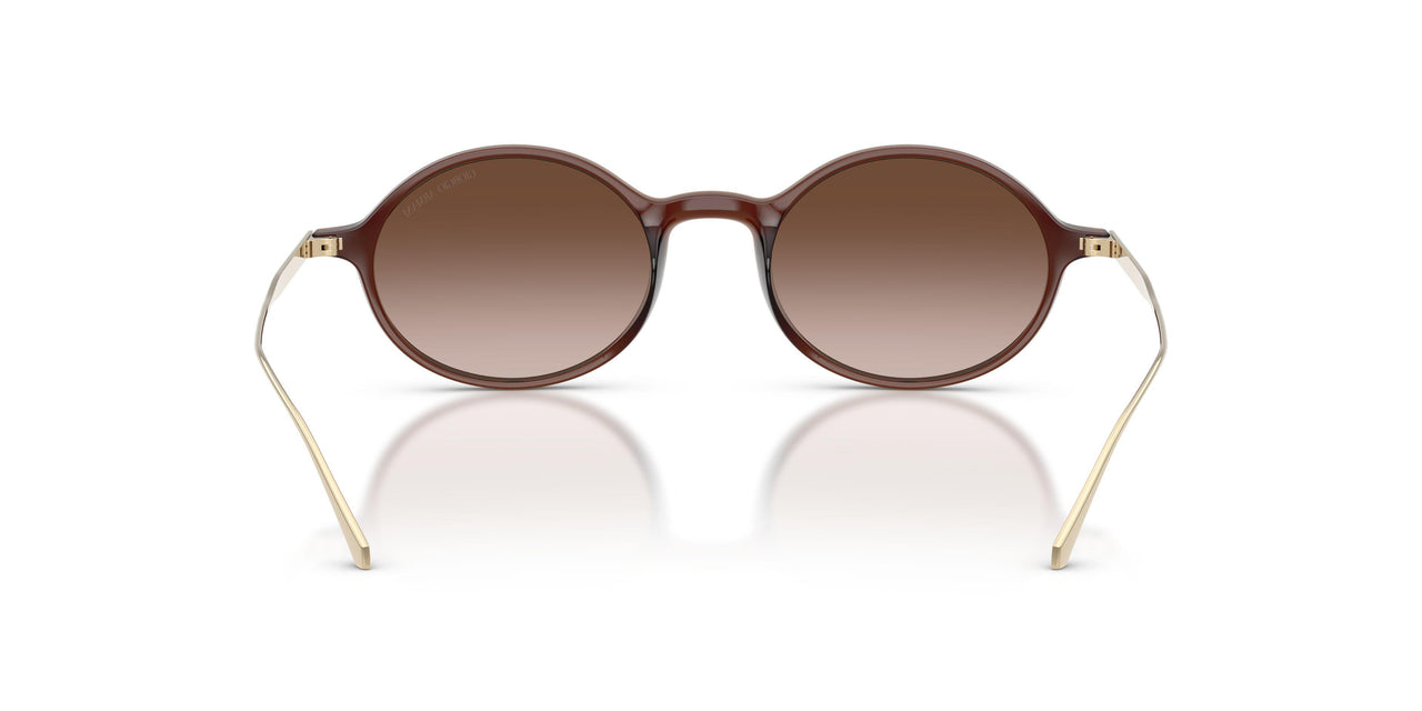 648413 - Brown - Brown Gradient