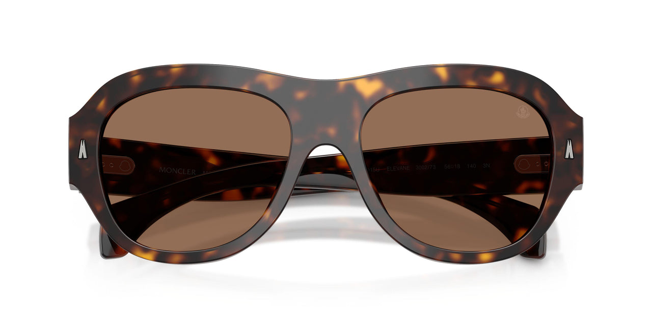 300273 - Tortoise - Brown Solid