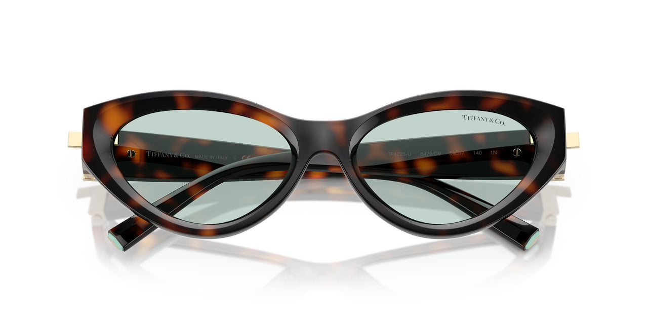 8429D9 - Tortoise - Light Azure
