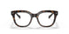W656 - Brown