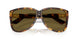 14L09Z - Tortoise - Dark Brown