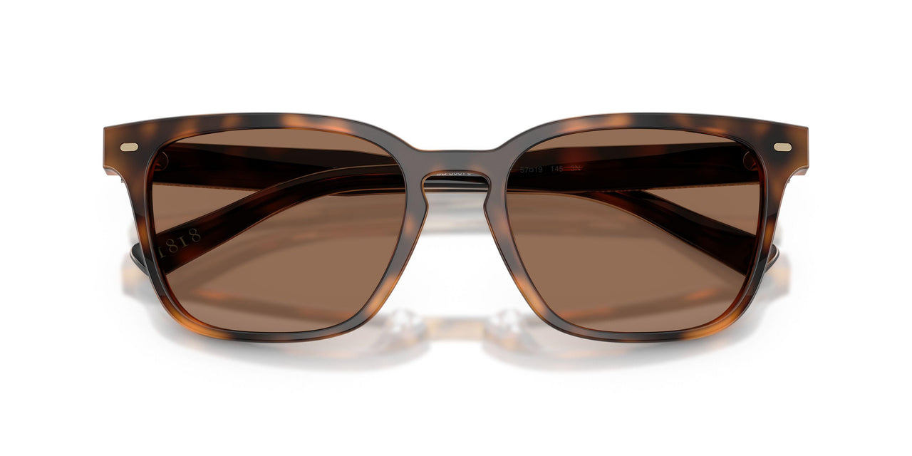 616173 - Tortoise - Solid Brown