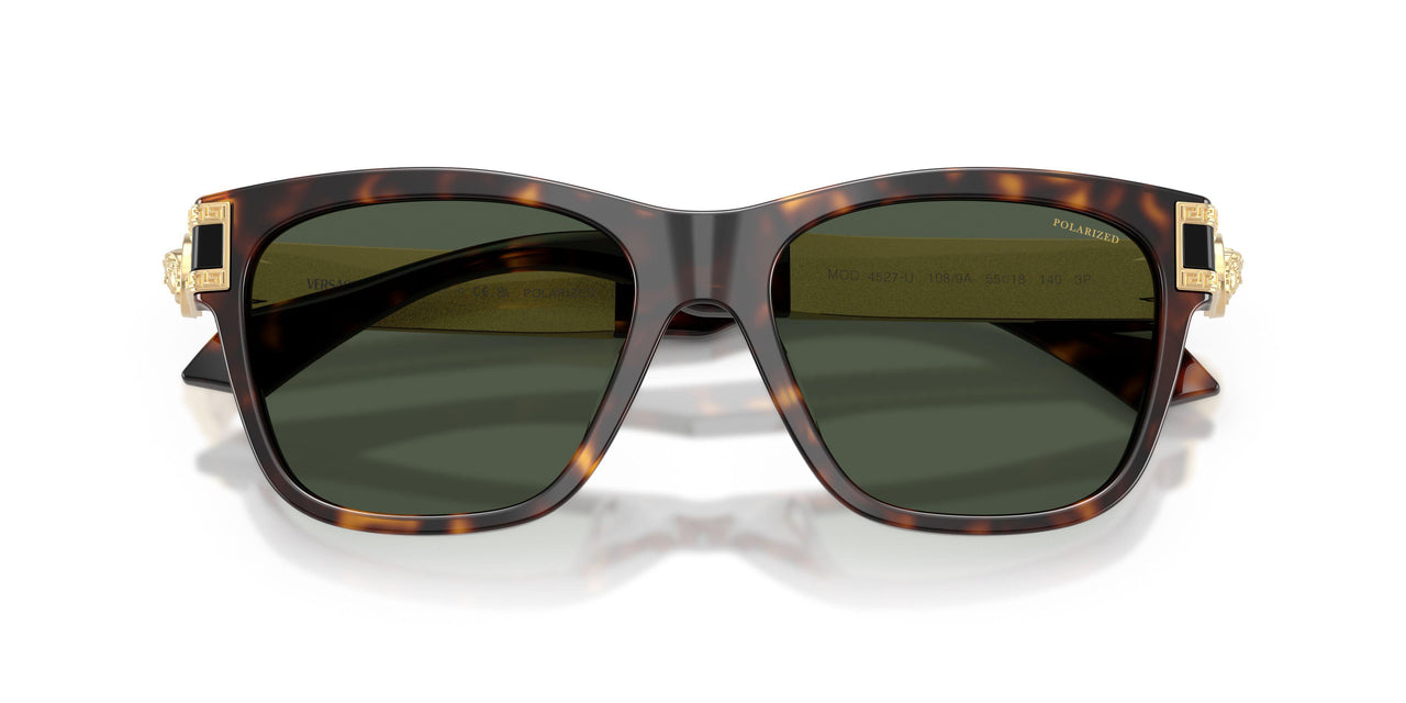 108/9A - Brown - Dark Green Polarized