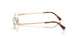 ZVN1O1 - Gold - Clear