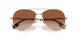 110913 - Gold - Brown Gradient