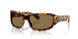 343773 - Tortoise - Dark Brown
