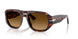 24/85 - Tortoise - Light Brown Gradient Dark Brow