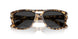 105648 - Tortoise - Polar Black