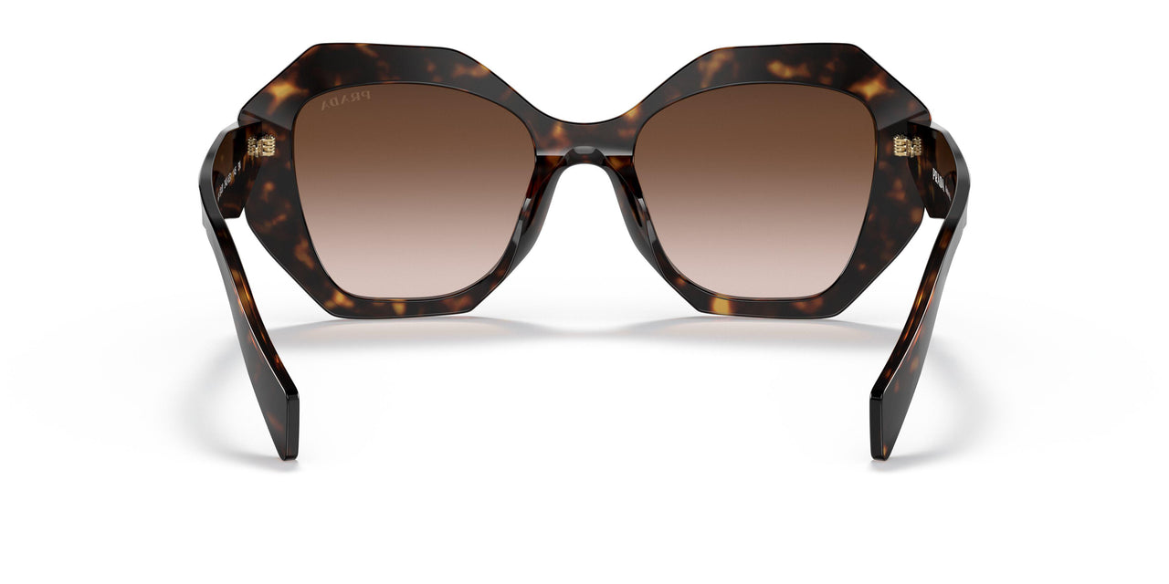2AU6S1 - Havana - Brown Gradient