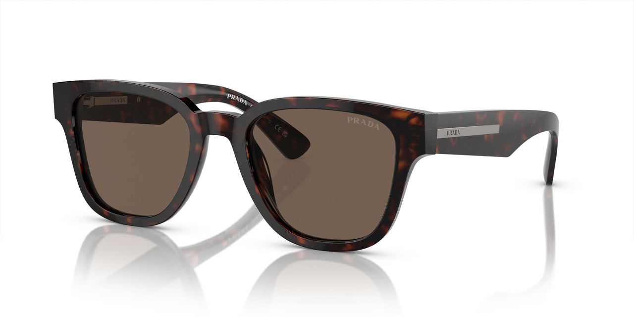 17N08T - Tortoise - Brown