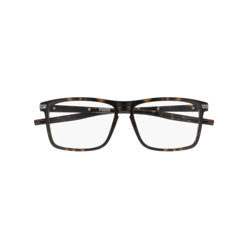 002 - Tortoise/Havana