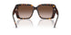 500213 - Tortoise - Brown Gradient