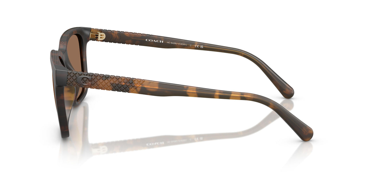 512073 - Tortoise - Brown Solid