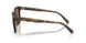 512073 - Tortoise - Brown Solid