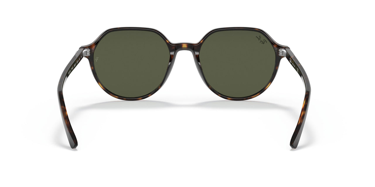 902/31 - Havana - Green