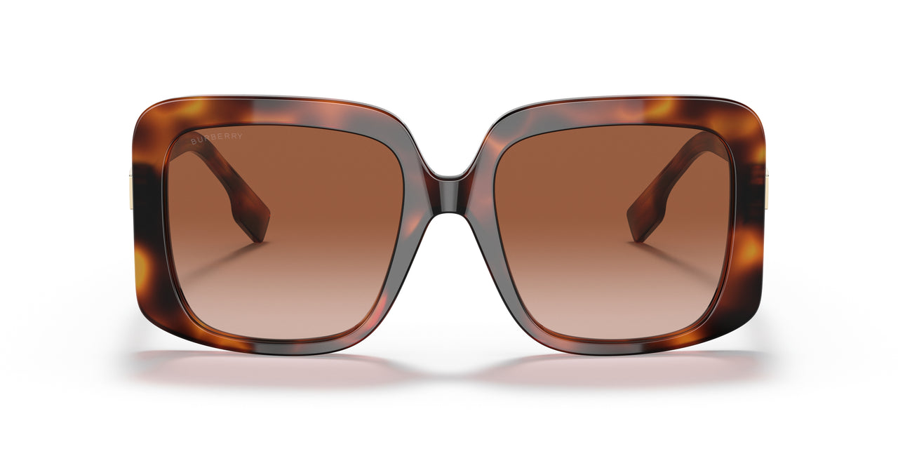 331613 - Havana - Brown Gradient