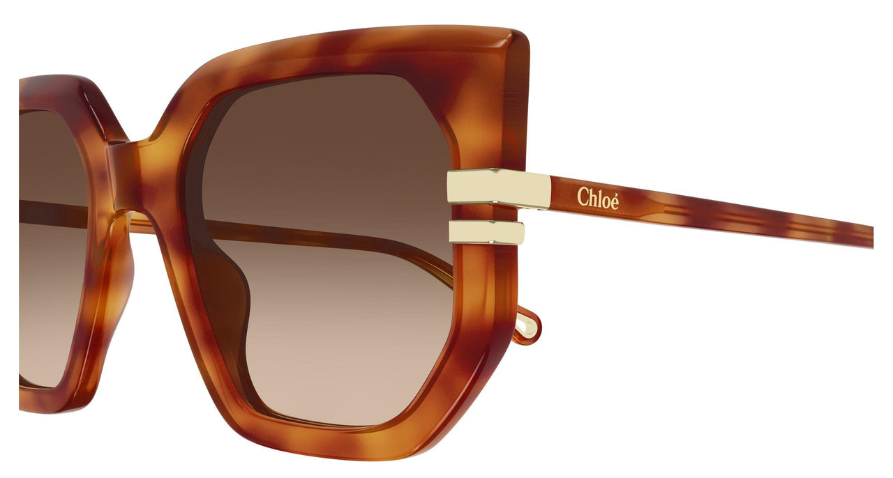 007 - Havana - Brown