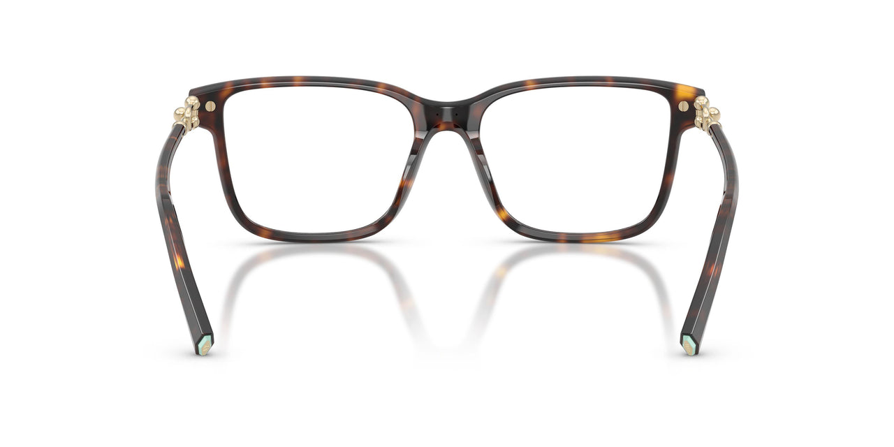 8015 - Tortoise