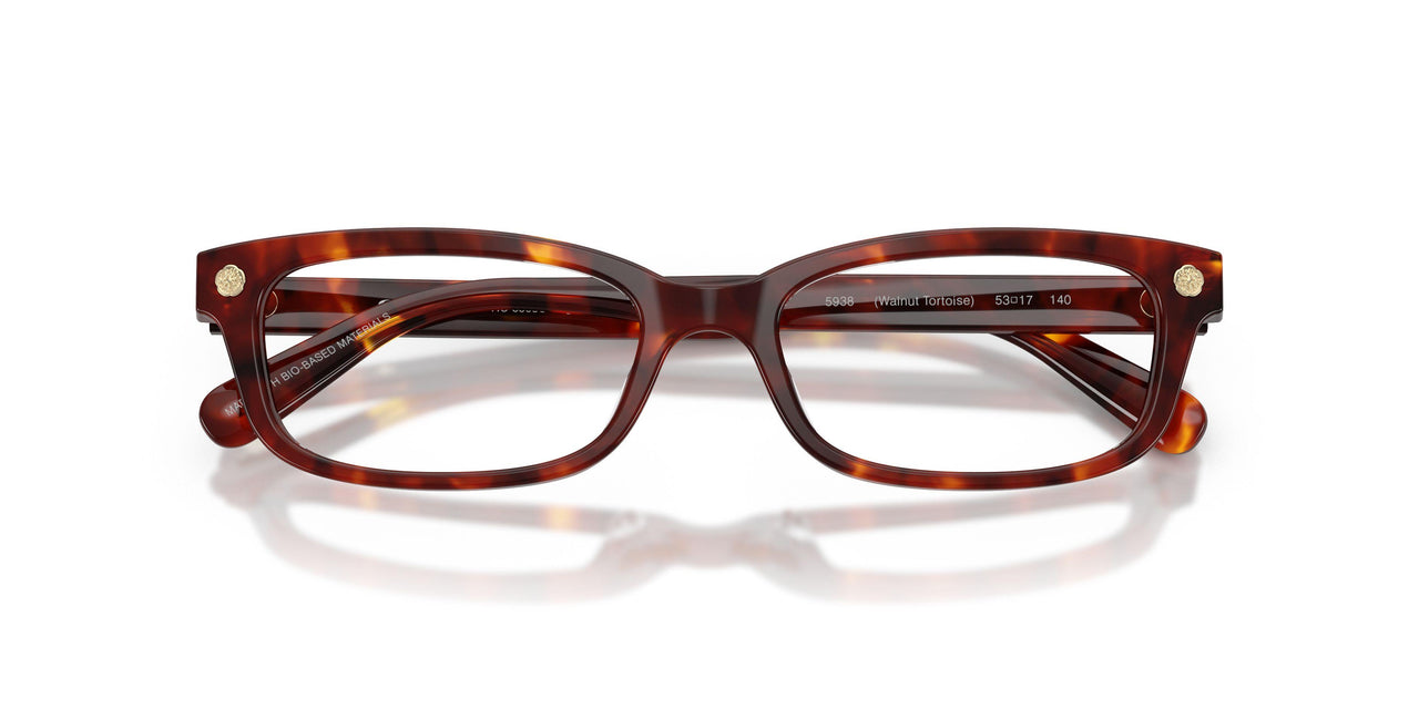 5938 - Tortoise