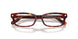 5938 - Tortoise