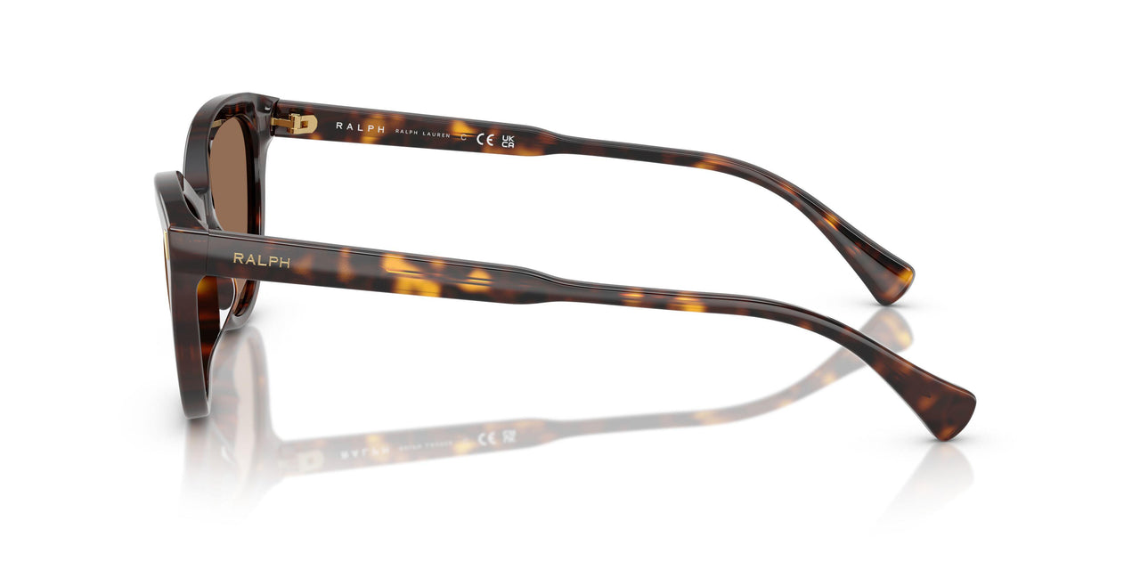 500373 - Tortoise - Brown