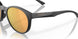 947408 - Black - Prizm Rose Gold Polarized