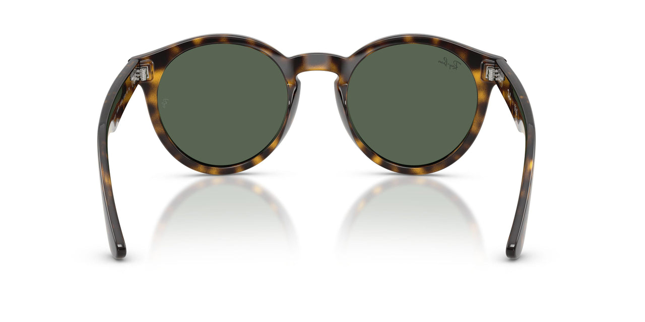 6790VR - Tortoise - Dark Green