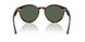 6790VR - Tortoise - Dark Green
