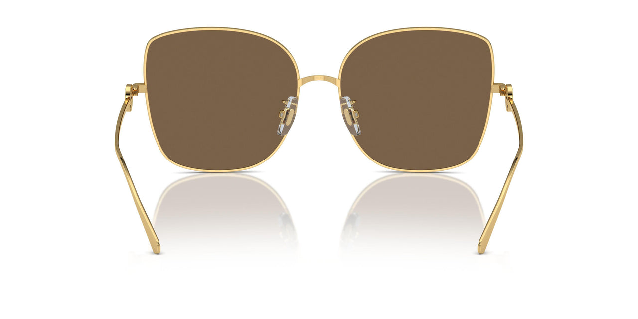 334373 - Gold - Dark Brown