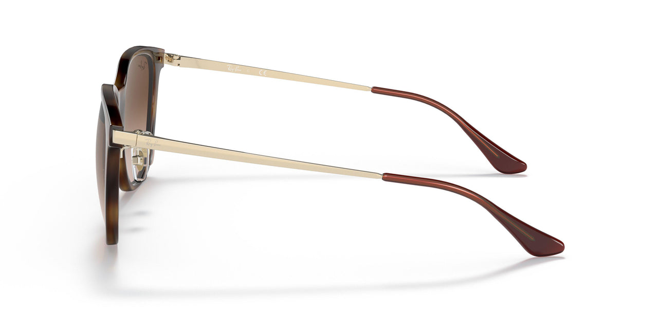 710/13 - Tortoise - Brown Gradient Dark Brown